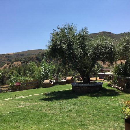 לינה וארוחת בוקר סאן תאודורו Il Giardino Di Daniela מראה חיצוני תמונה