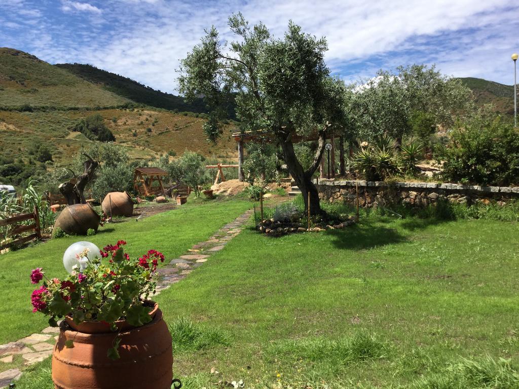 לינה וארוחת בוקר סאן תאודורו Il Giardino Di Daniela מראה חיצוני תמונה
