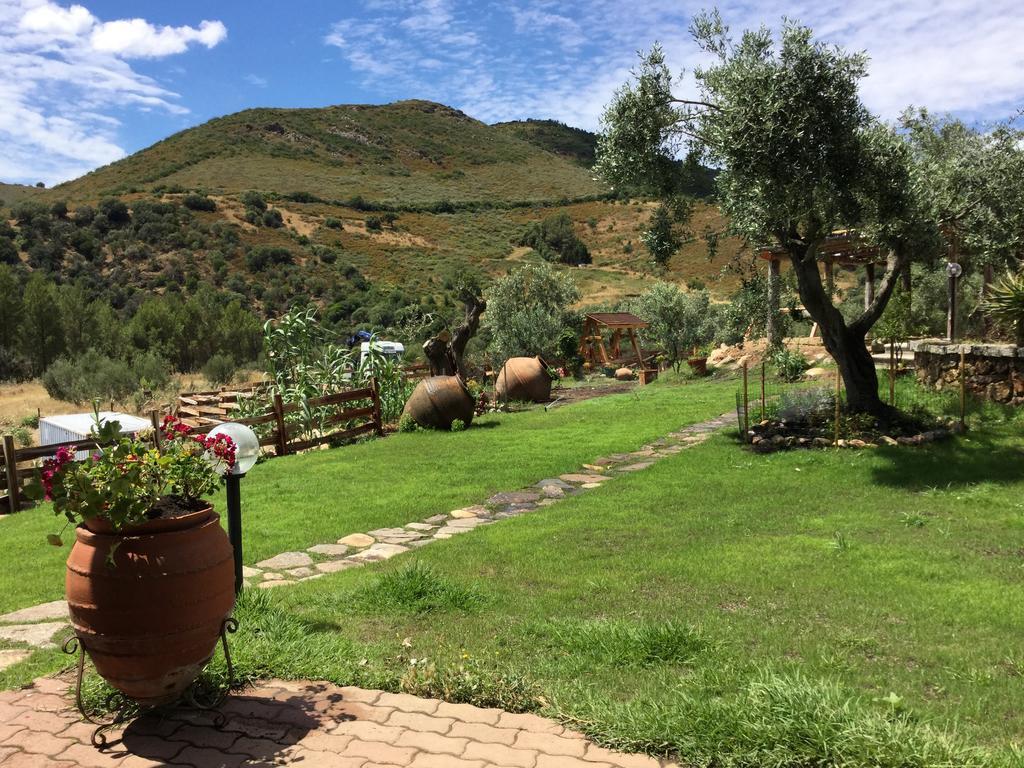 לינה וארוחת בוקר סאן תאודורו Il Giardino Di Daniela מראה חיצוני תמונה