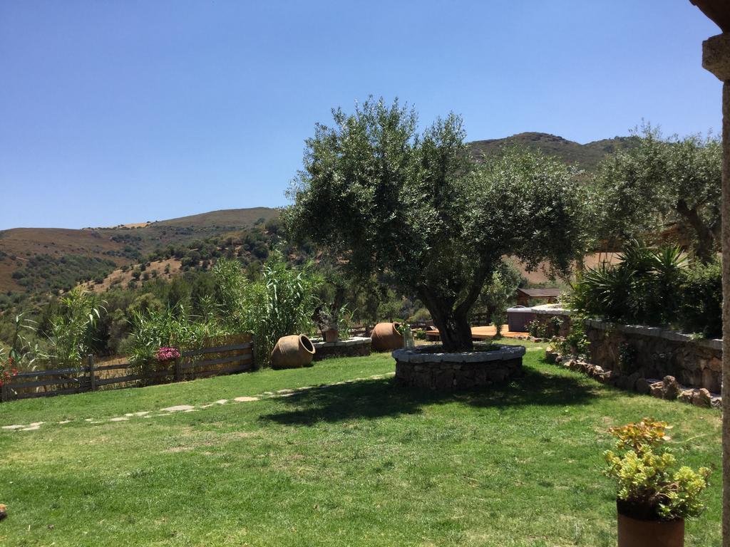 לינה וארוחת בוקר סאן תאודורו Il Giardino Di Daniela מראה חיצוני תמונה